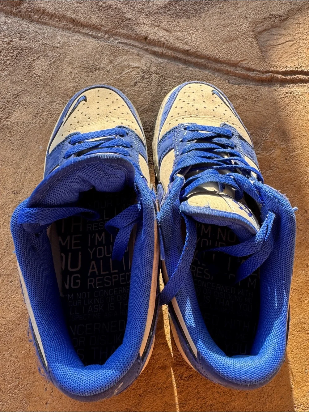 Nike dunk low